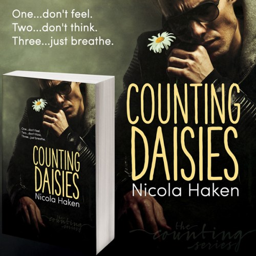 CountingDaisies-promoblock