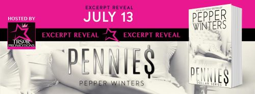 pennies excerpt reveal