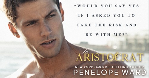 The Aristocrat Teaser 1